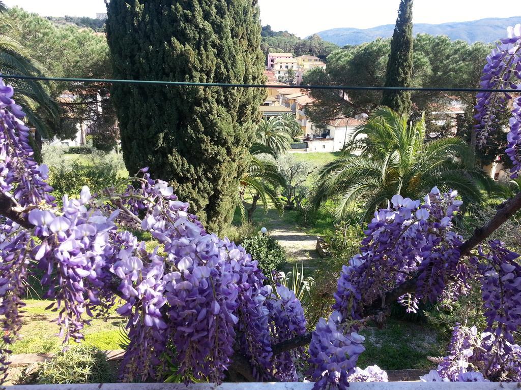 Villa San Giuseppe Porto Azzurro Eksteriør billede
