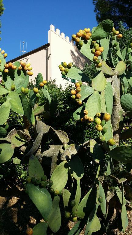 Villa San Giuseppe Porto Azzurro Eksteriør billede